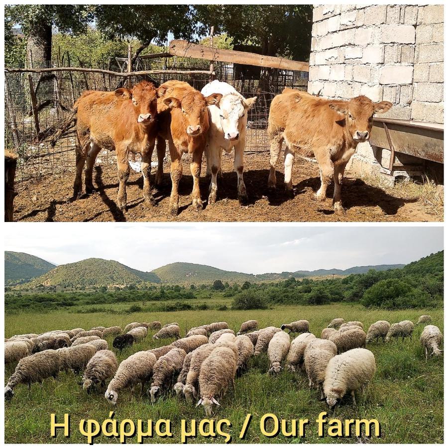 Aloni Guesthouse Áno Pediná Dış mekan fotoğraf